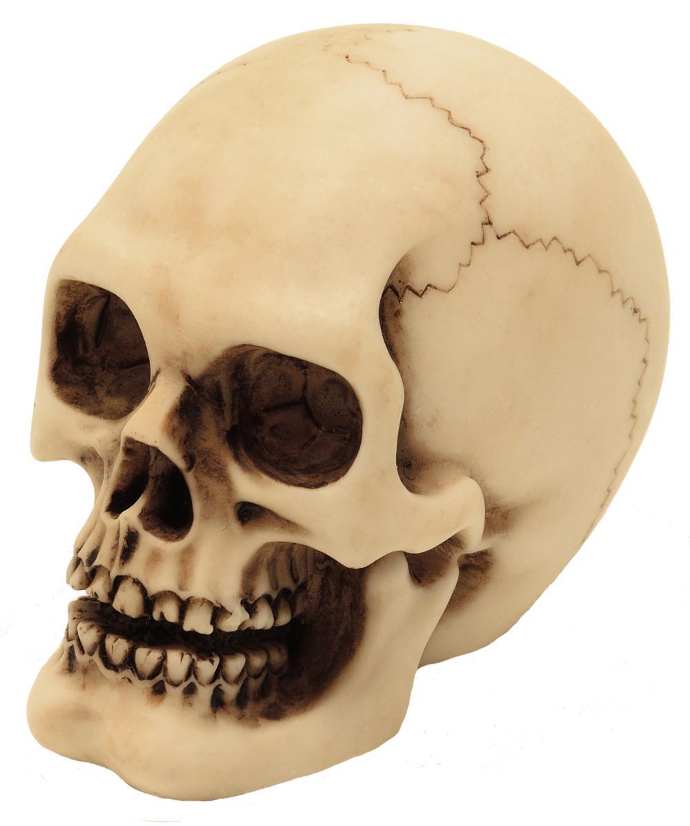 Schädel-Figur aus Polyresin mit personalisierbarer Gravur