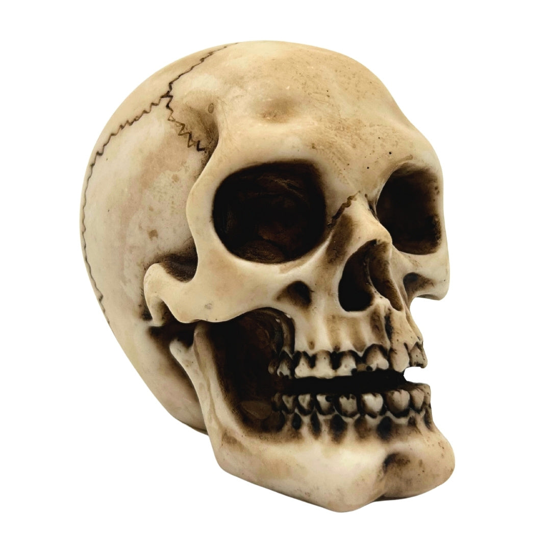 Schädel-Figur aus Polyresin mit personalisierbarer Gravur