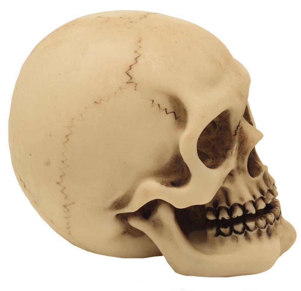 Schädel-Figur aus Polyresin mit personalisierbarer Gravur