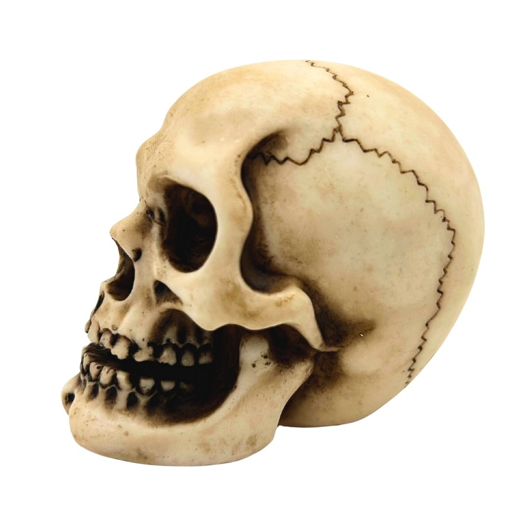 Schädel-Figur aus Polyresin mit personalisierbarer Gravur
