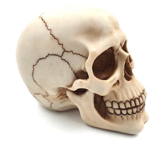 Dekorative Schädel-Figur 15 cm aus Polyresin mit personalisierbarer Gravur