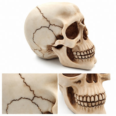 Dekorative Schädel-Figur 15 cm aus Polyresin mit personalisierbarer Gravur