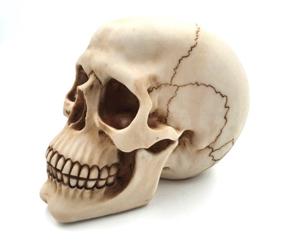 Dekorative Schädel-Figur 15 cm aus Polyresin mit personalisierbarer Gravur