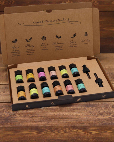 Sommerliche Naturenergie – Luxuriöses Set aus 12 ätherischen Ölen à 5 ml mit Tropfpipetten