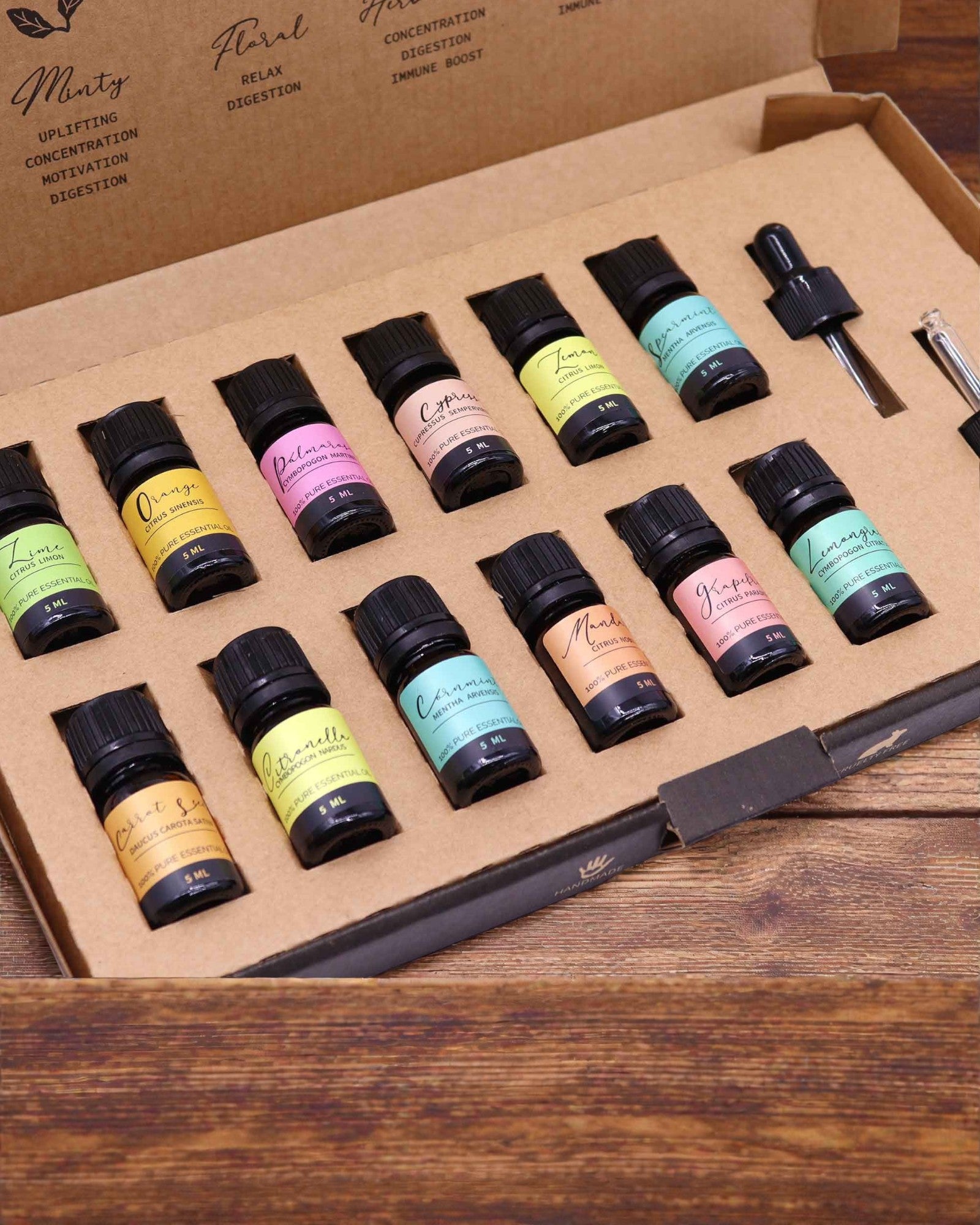 Sommerliche Naturenergie – Luxuriöses Set aus 12 ätherischen Ölen à 5 ml mit Tropfpipetten