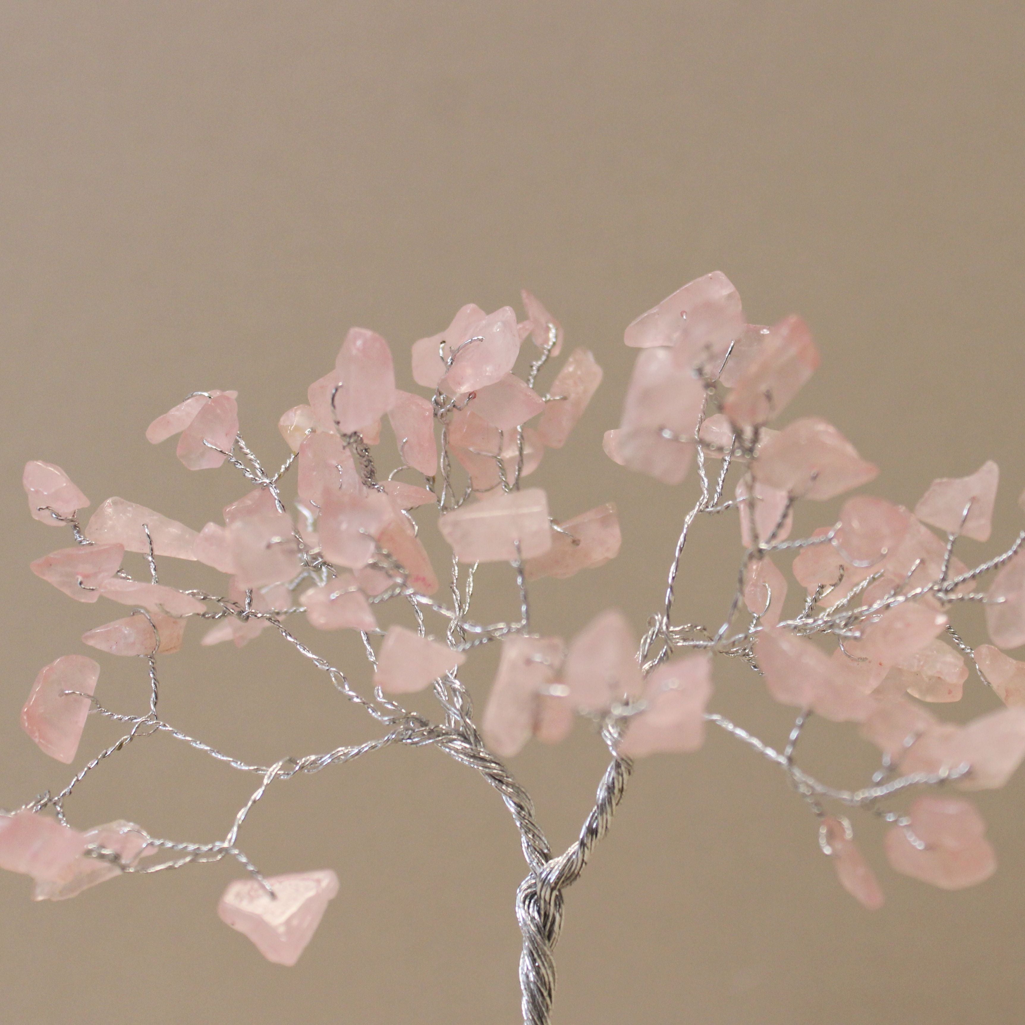Rosa Prinzessin